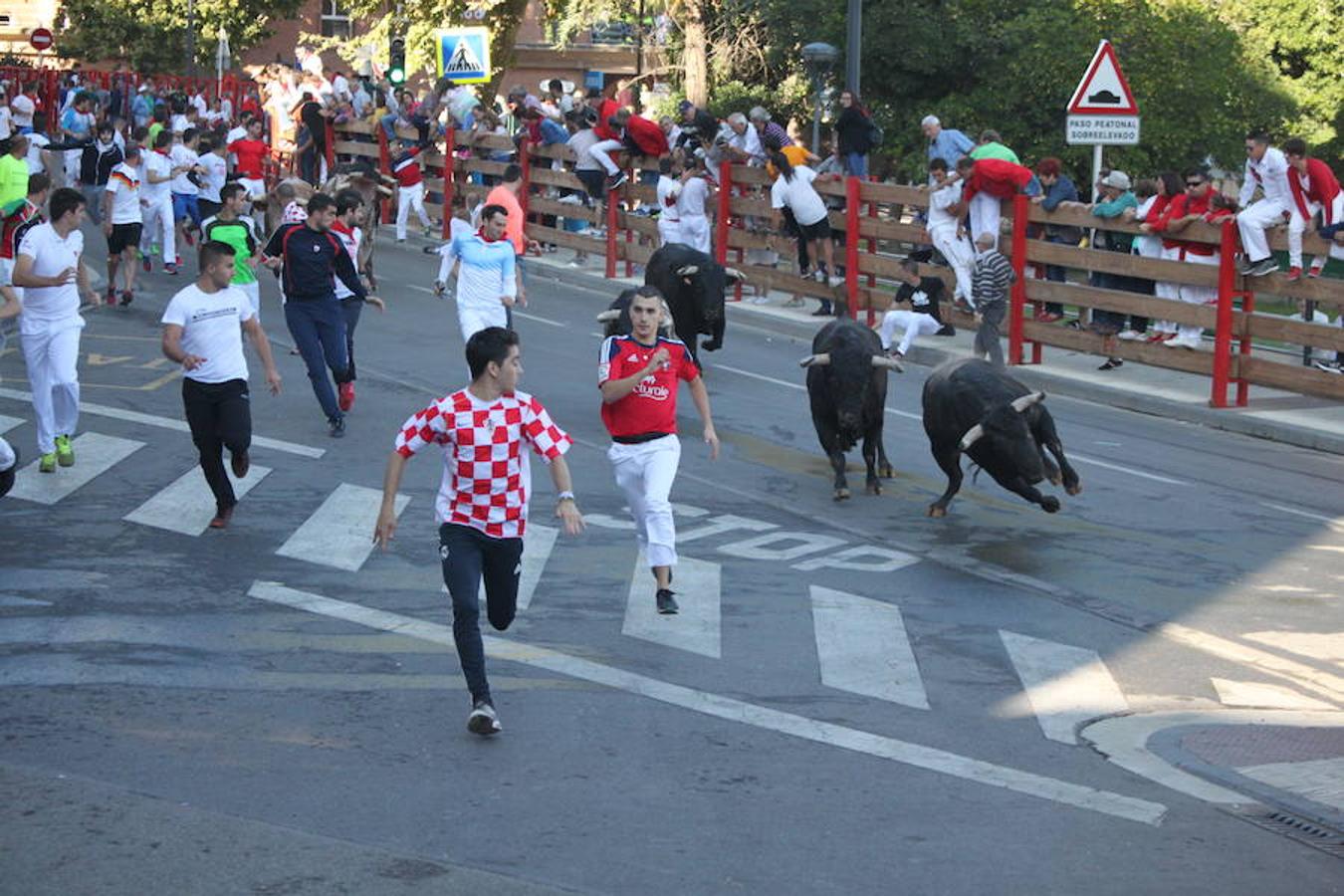 Unos 600 jóvenes compartieron la comida popular y fiesta pinchadiscos en el penúltimo día de fiestas de Alfaro