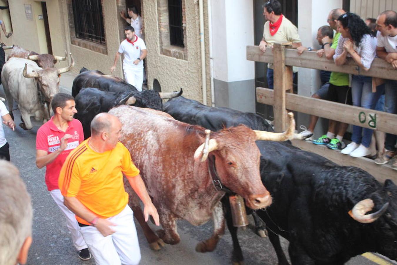 Unos 600 jóvenes compartieron la comida popular y fiesta pinchadiscos en el penúltimo día de fiestas de Alfaro