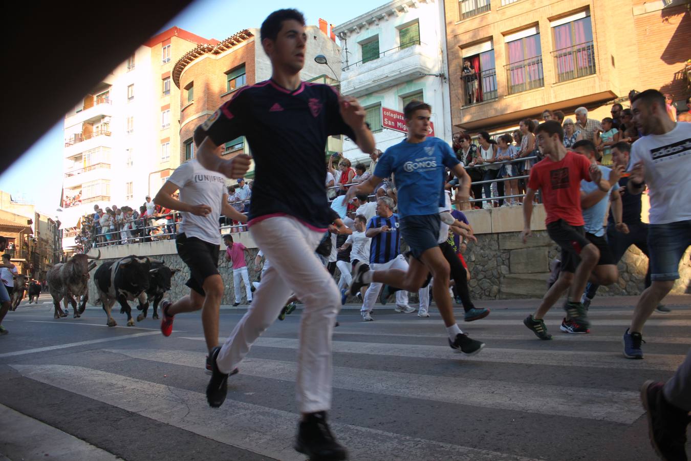 Un encierro de toros, degustación y boleros cerraron las fiestas alfareñas 