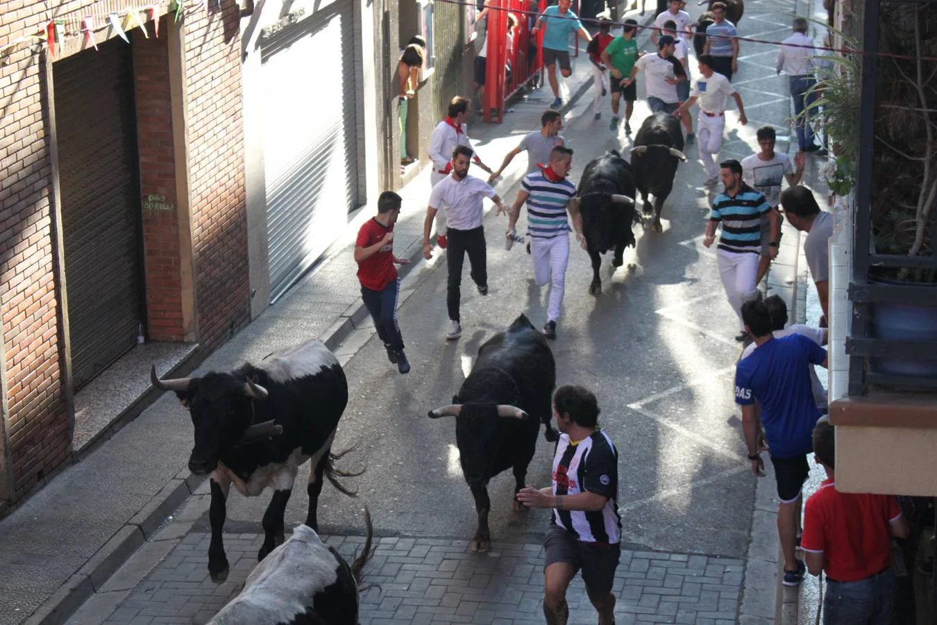 Un encierro de toros, degustación y boleros cerraron las fiestas alfareñas 