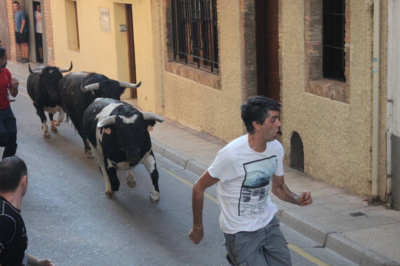 Un encierro de toros, degustación y boleros cerraron las fiestas alfareñas 