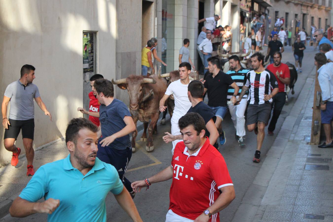 Un encierro de toros, degustación y boleros cerraron las fiestas alfareñas 