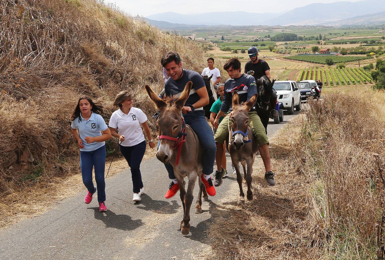 Fotos: Carrera de Burros de Tricio