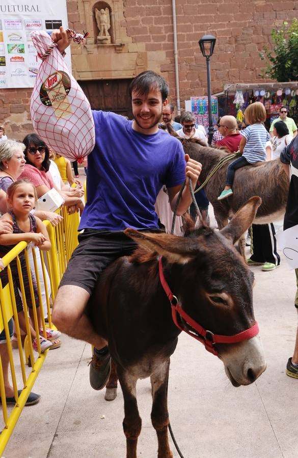 Fotos: Carrera de Burros de Tricio
