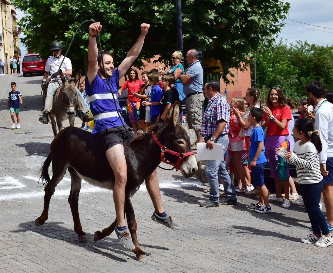 Fotos: Carrera de Burros de Tricio