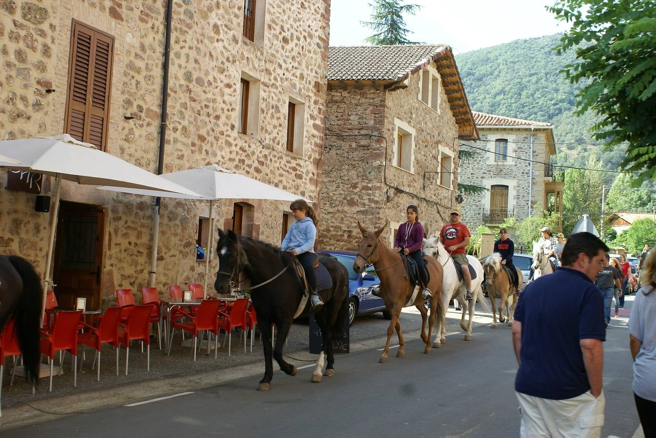 Fotos: Feria de ganado de las siete villas en Viniegra de Abajo