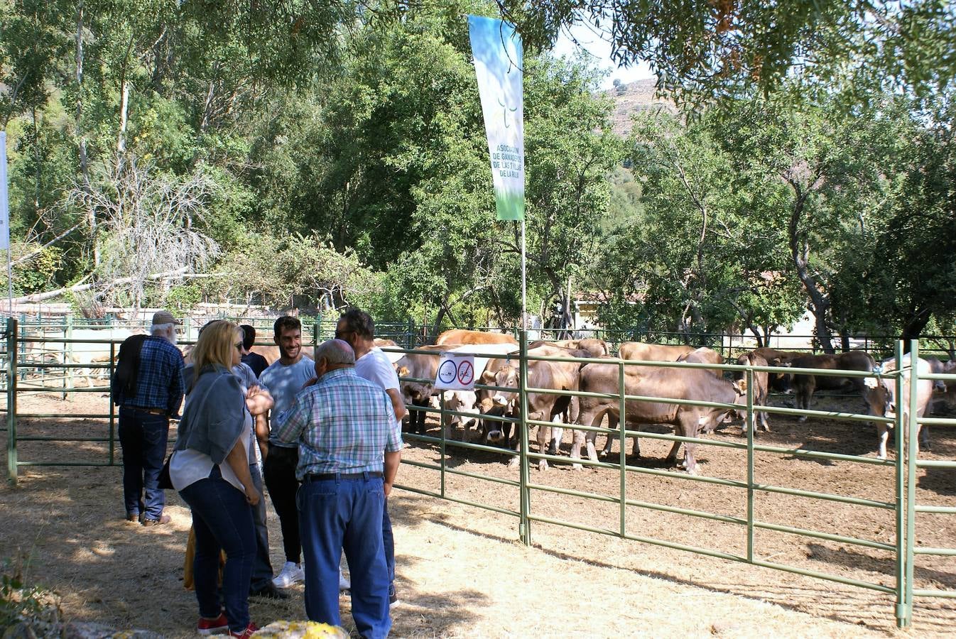 Fotos: Feria de ganado de las siete villas en Viniegra de Abajo