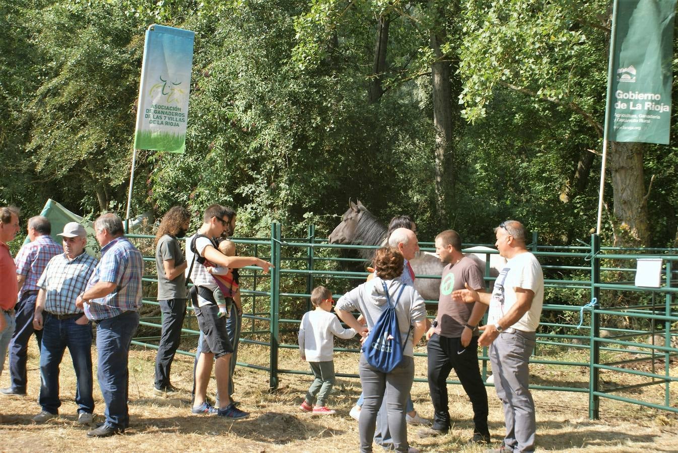 Fotos: Feria de ganado de las siete villas en Viniegra de Abajo