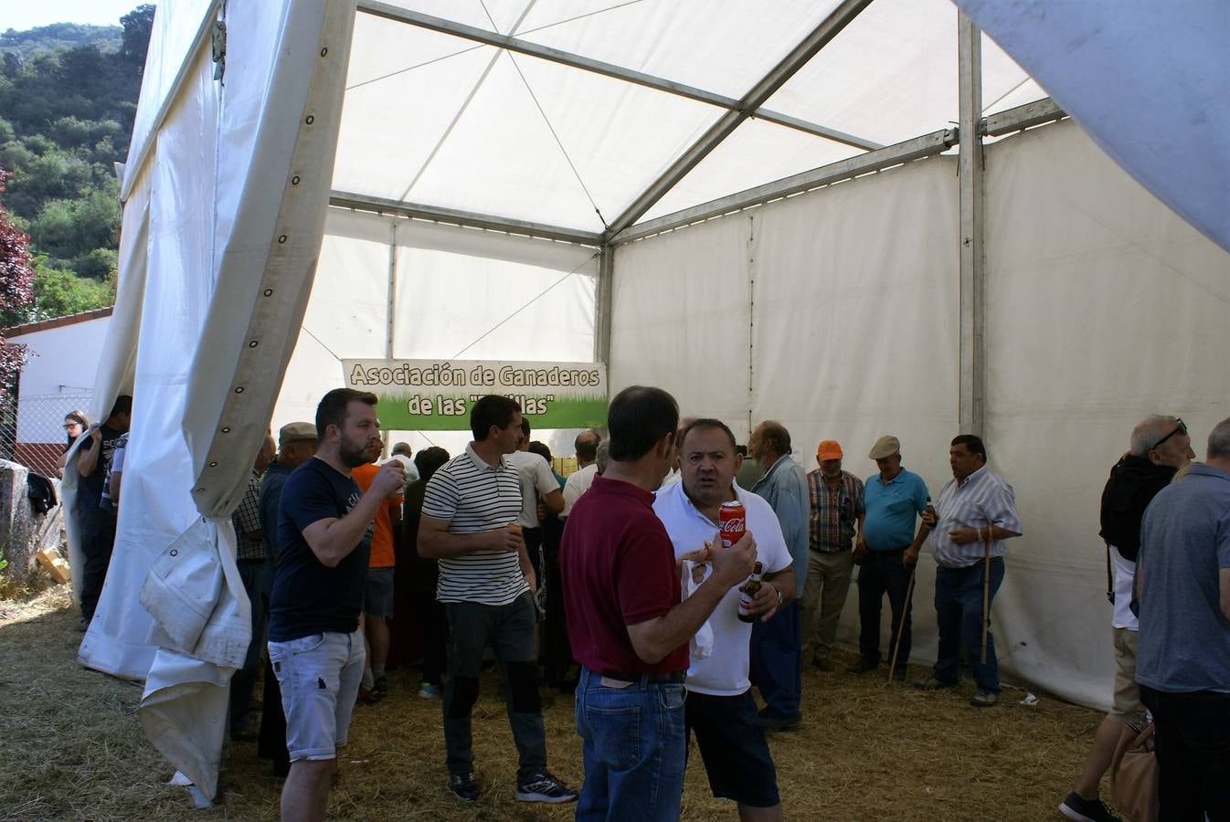 Fotos: Feria de ganado de las siete villas en Viniegra de Abajo