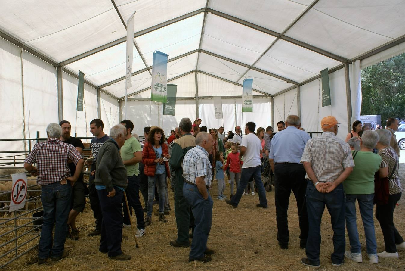 Fotos: Feria de ganado de las siete villas en Viniegra de Abajo