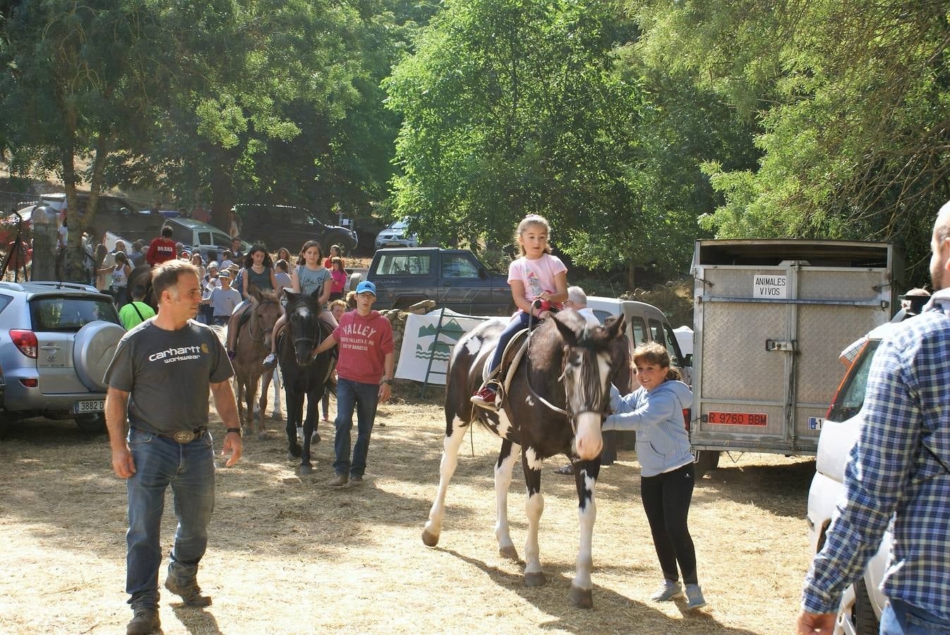 Fotos: Feria de ganado de las siete villas en Viniegra de Abajo