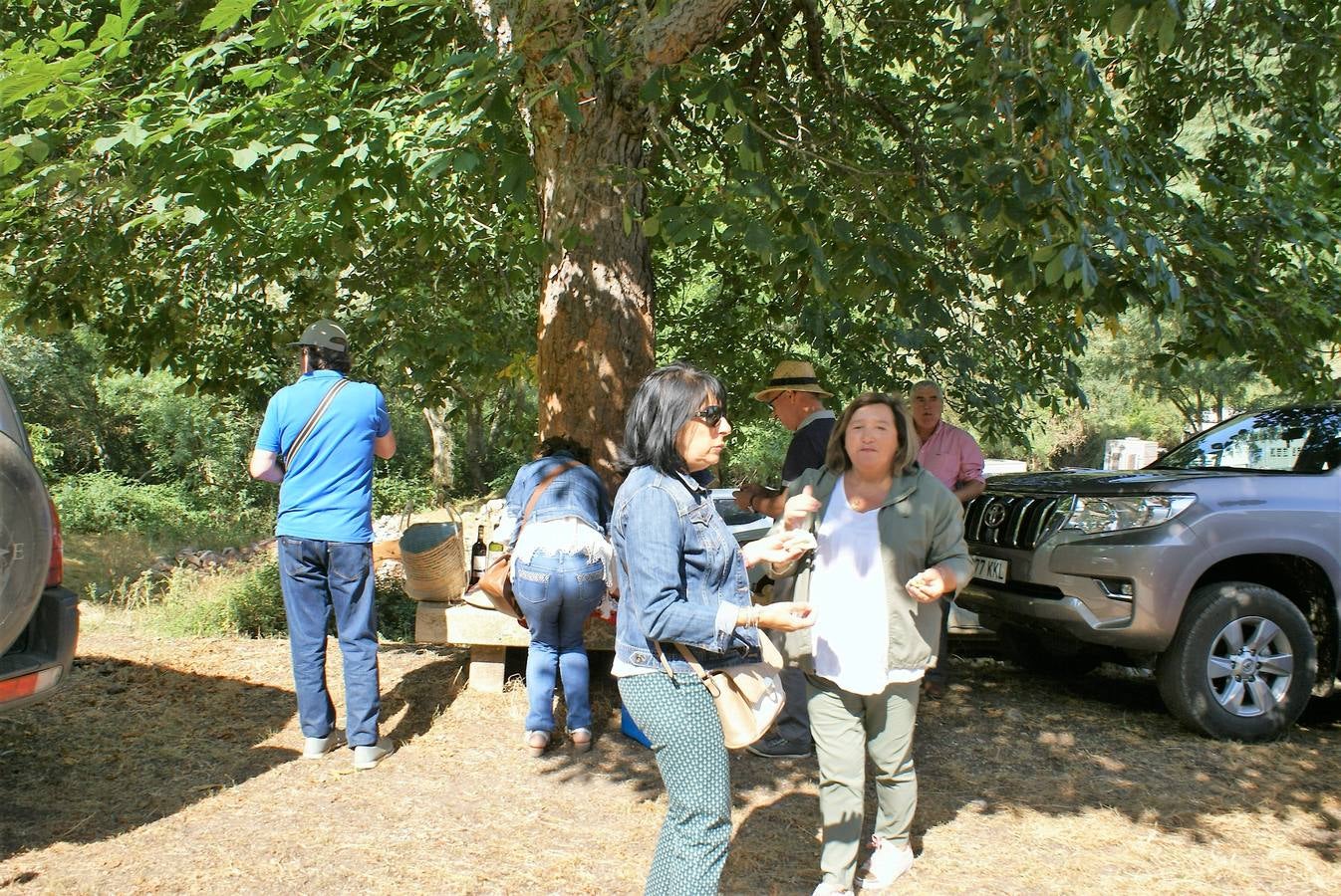 Fotos: Feria de ganado de las siete villas en Viniegra de Abajo