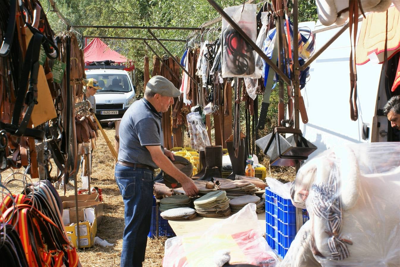 Fotos: Feria de ganado de las siete villas en Viniegra de Abajo