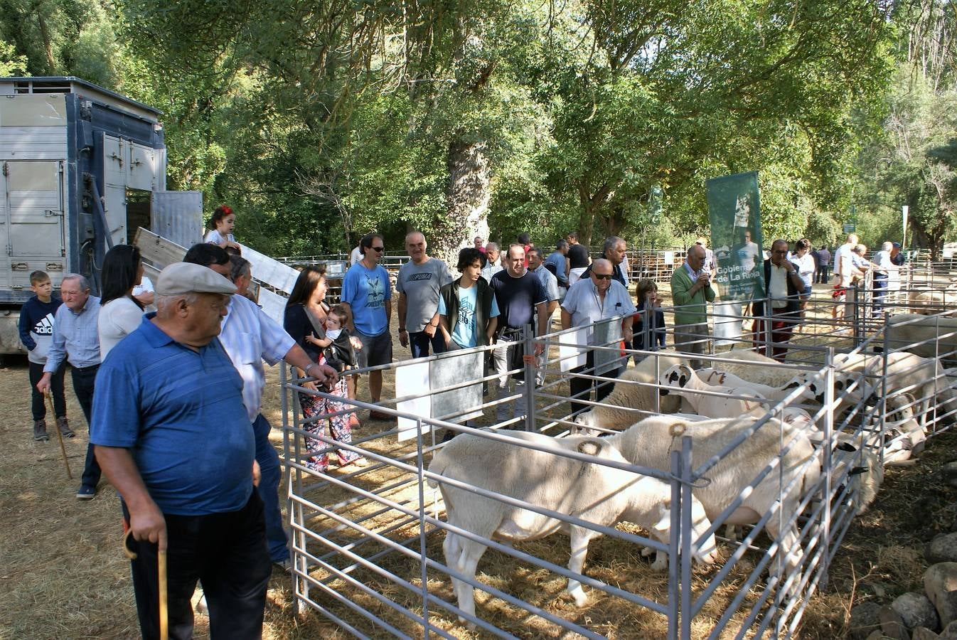 Fotos: Feria de ganado de las siete villas en Viniegra de Abajo