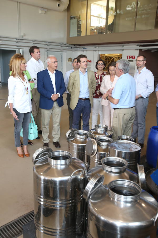 El presidente del Partido Popular Pablo Casado ha visitado hoy La Rioja y se ha interesado por los temas candentes de la región.