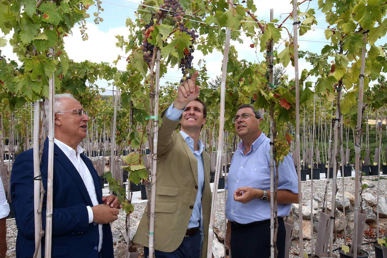 El presidente del Partido Popular Pablo Casado ha visitado hoy La Rioja y se ha interesado por los temas candentes de la región.