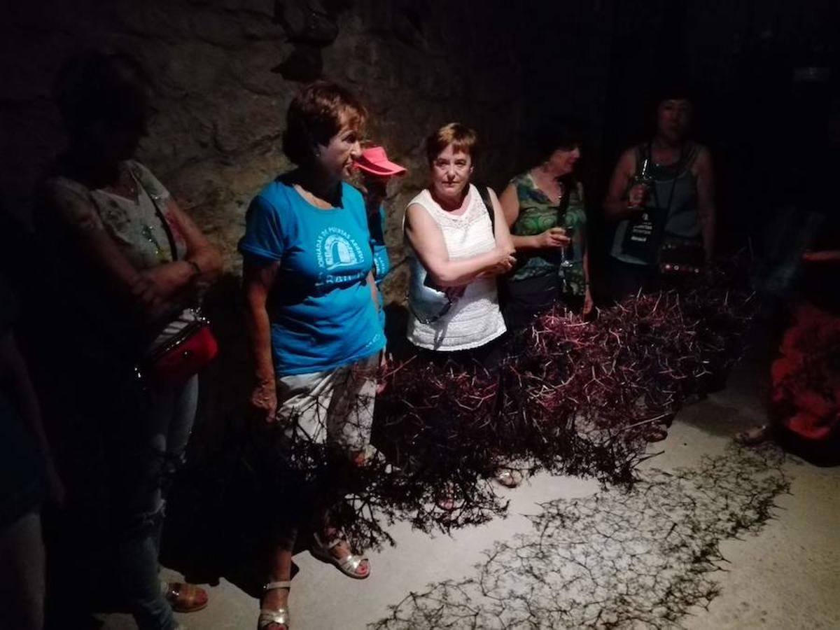 La Asociación de Mujeres de Ábalos lo ha vuelto a hacer. Van 21 años Amimación, puestos y música entre bodega y bodega para poder disfrutar de la cultura del vino.