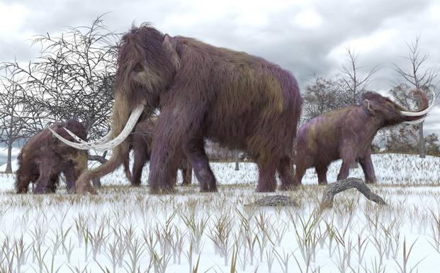 Ilustración de mamuts durante el Holoceno. 