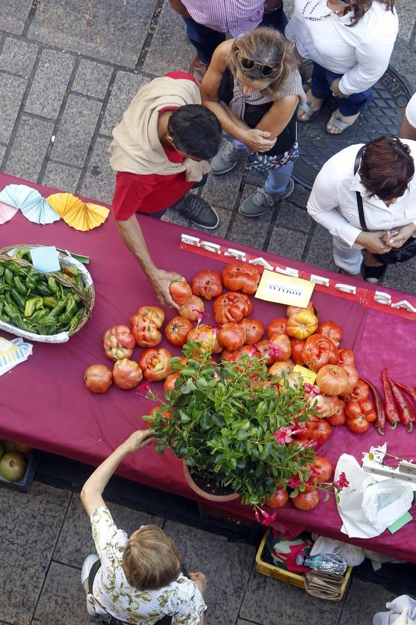 Javier Sampedro y Francisca Allo, ambos de Lardero, han ganado el 50 Concurso Agrícola de La Rioja en las categorías de frutas y hortalizas, respectivamente. Numeroso público ha disfrutado del sol radiante que ha lucido este domingo en Logroño y ha visitado los puestos instalados por 14 agricultores en la céntrica calle Portales, donde también se han podido adquirir los productos de la huerta riojana. Esta actividad, organizada por la Fundación Caja Rioja y Bankia, ha cumplido medio siglo de historia y supone una de las citas más tradicionales como prolegómeno a las fiestas de la vendimia.