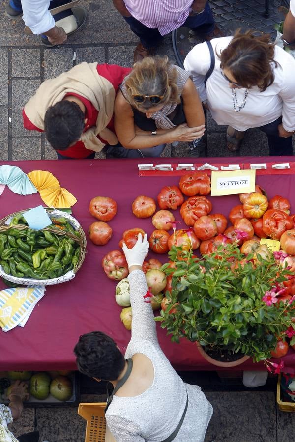 Javier Sampedro y Francisca Allo, ambos de Lardero, han ganado el 50 Concurso Agrícola de La Rioja en las categorías de frutas y hortalizas, respectivamente. Numeroso público ha disfrutado del sol radiante que ha lucido este domingo en Logroño y ha visitado los puestos instalados por 14 agricultores en la céntrica calle Portales, donde también se han podido adquirir los productos de la huerta riojana. Esta actividad, organizada por la Fundación Caja Rioja y Bankia, ha cumplido medio siglo de historia y supone una de las citas más tradicionales como prolegómeno a las fiestas de la vendimia.