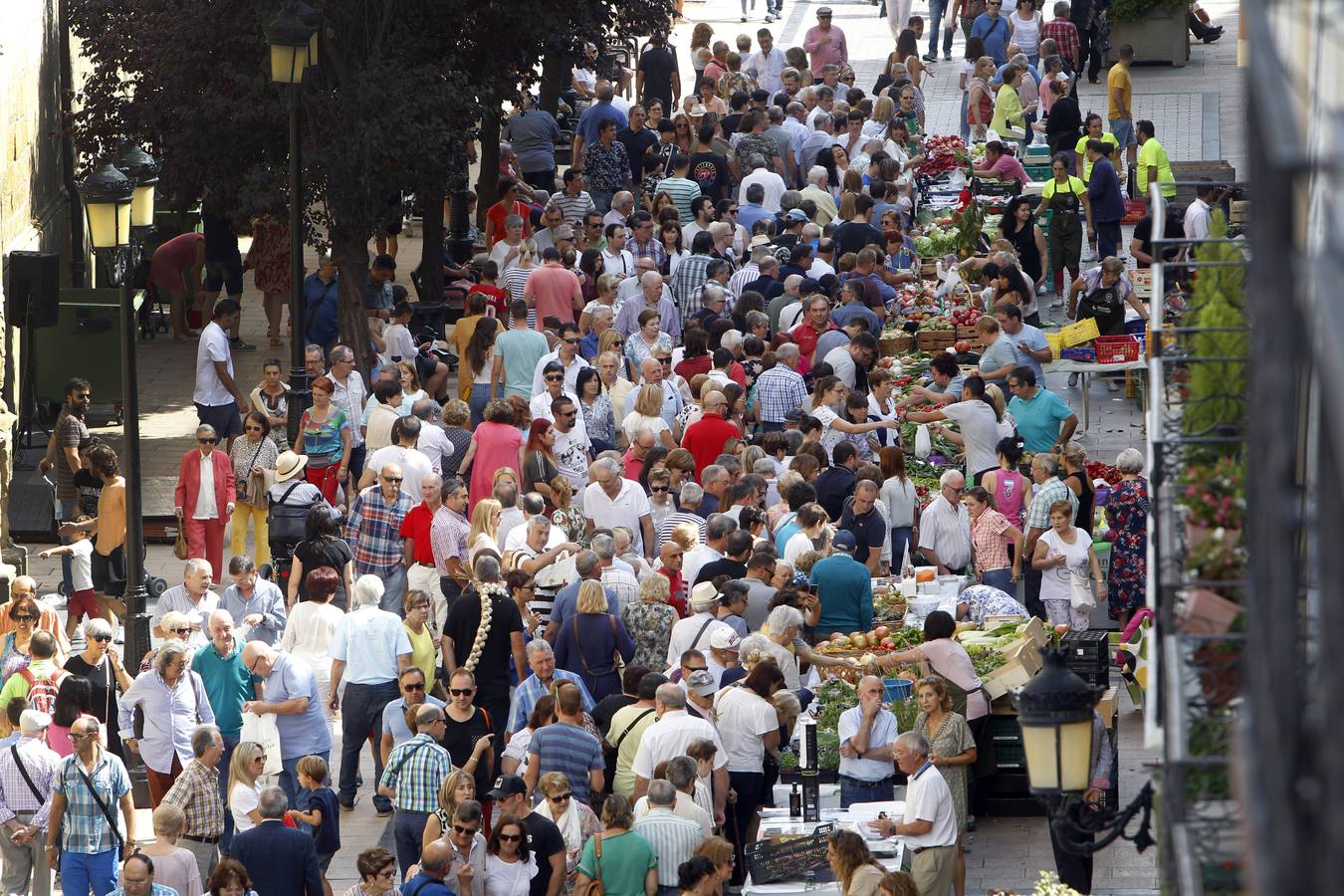 Javier Sampedro y Francisca Allo, ambos de Lardero, han ganado el 50 Concurso Agrícola de La Rioja en las categorías de frutas y hortalizas, respectivamente. Numeroso público ha disfrutado del sol radiante que ha lucido este domingo en Logroño y ha visitado los puestos instalados por 14 agricultores en la céntrica calle Portales, donde también se han podido adquirir los productos de la huerta riojana. Esta actividad, organizada por la Fundación Caja Rioja y Bankia, ha cumplido medio siglo de historia y supone una de las citas más tradicionales como prolegómeno a las fiestas de la vendimia.