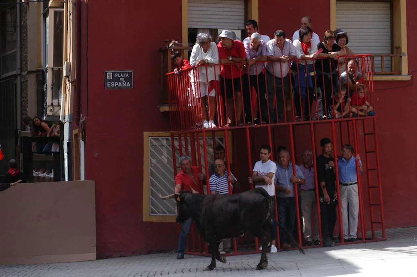 Encierro de reses bravas de Autol con motivo de las fiestas de San Adrián y Santa Natalia.