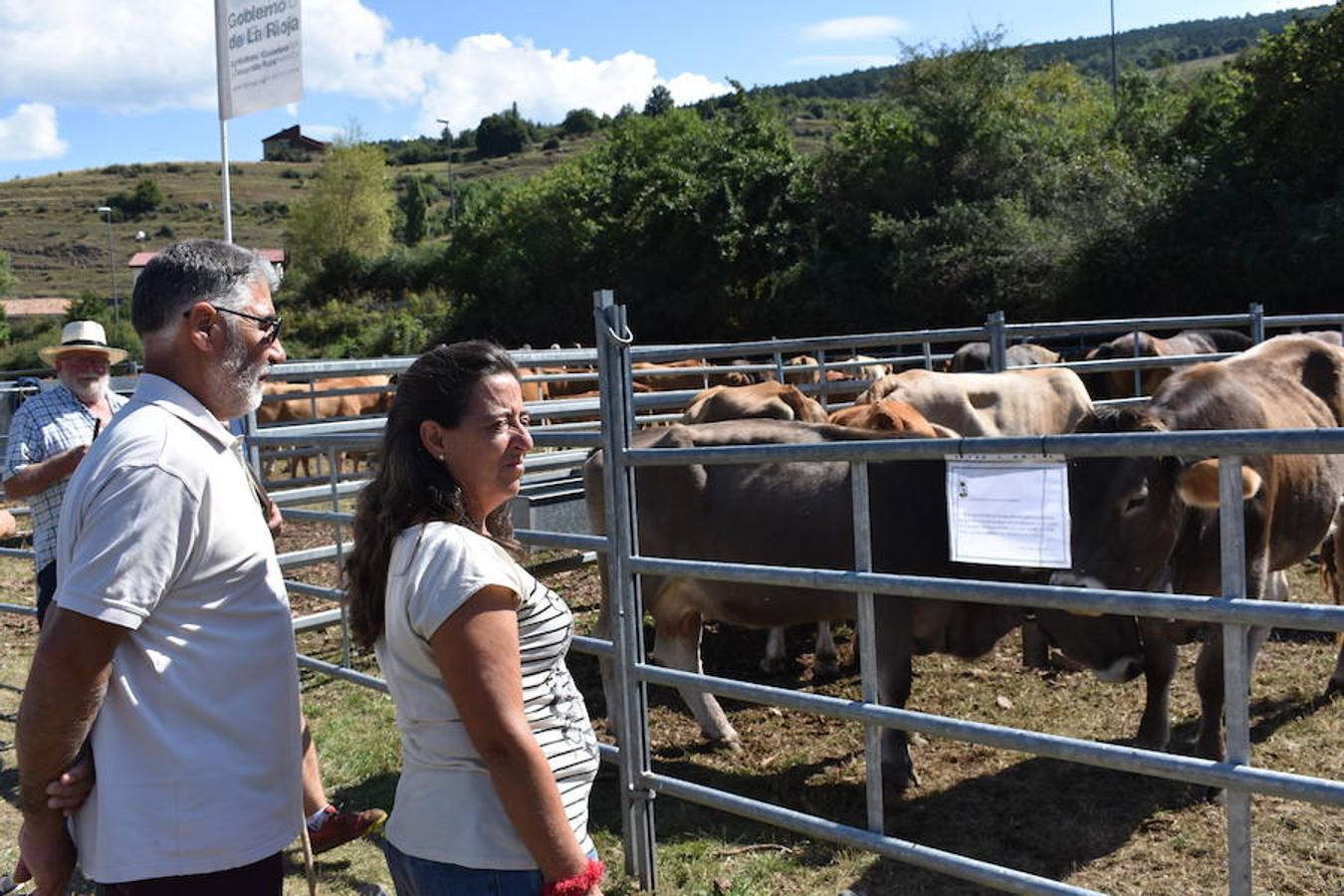 Gobierno de La Rioja y Ayuntamiento de Villoslada de Cameros, en colaboración con la Fundación Caja Rioja y Bankia, han puesto en marcha una nueva edición de la Feria Regional de Ganado que desde hace veintidós años, cada 11 de septiembre se desarrolla en la localidad serrana.