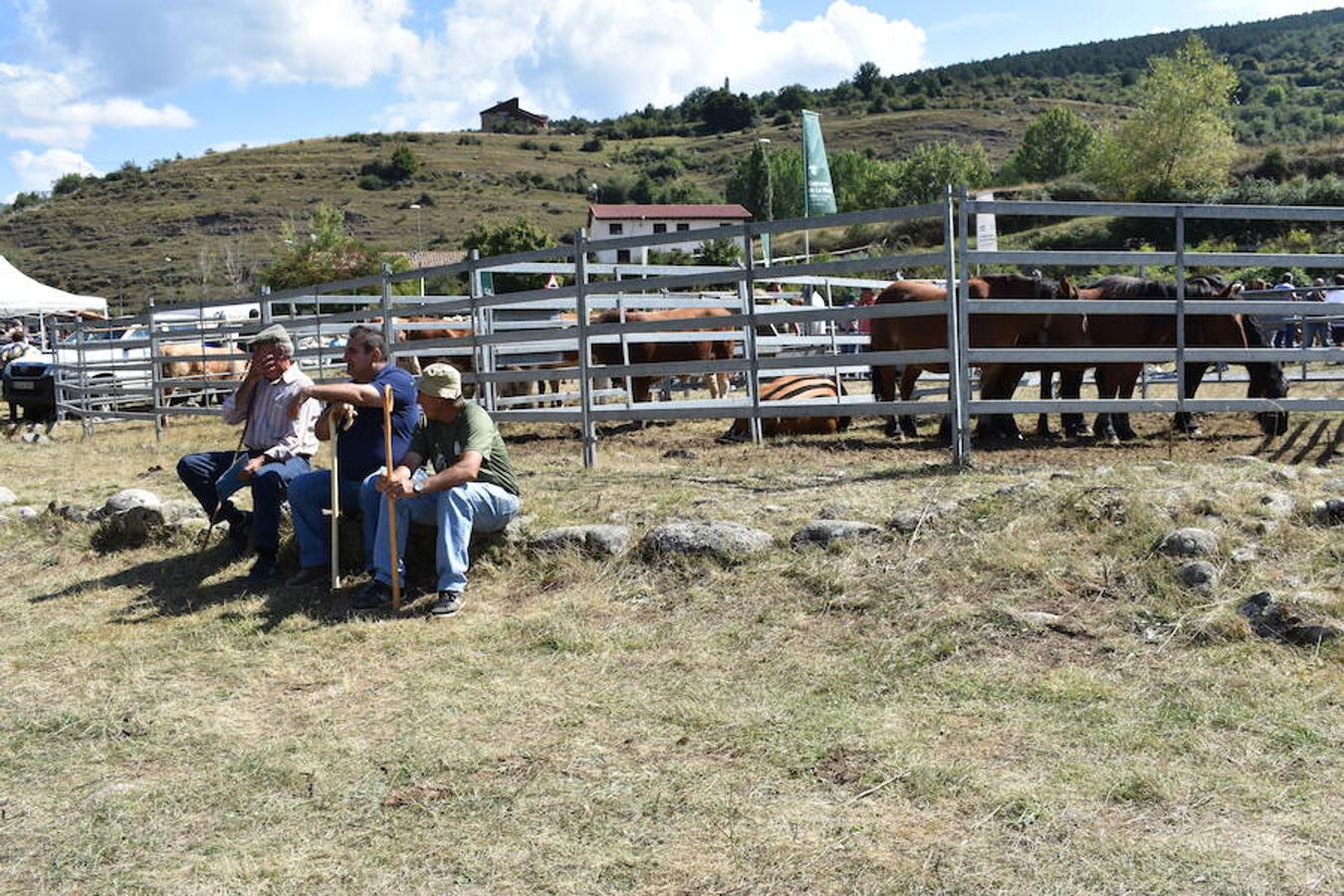 Gobierno de La Rioja y Ayuntamiento de Villoslada de Cameros, en colaboración con la Fundación Caja Rioja y Bankia, han puesto en marcha una nueva edición de la Feria Regional de Ganado que desde hace veintidós años, cada 11 de septiembre se desarrolla en la localidad serrana.