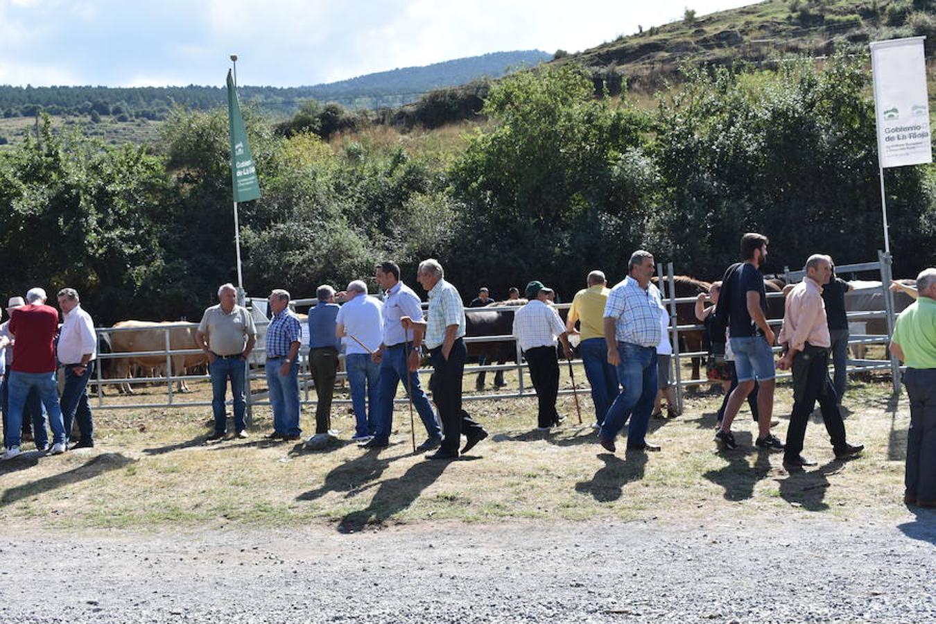 Gobierno de La Rioja y Ayuntamiento de Villoslada de Cameros, en colaboración con la Fundación Caja Rioja y Bankia, han puesto en marcha una nueva edición de la Feria Regional de Ganado que desde hace veintidós años, cada 11 de septiembre se desarrolla en la localidad serrana.