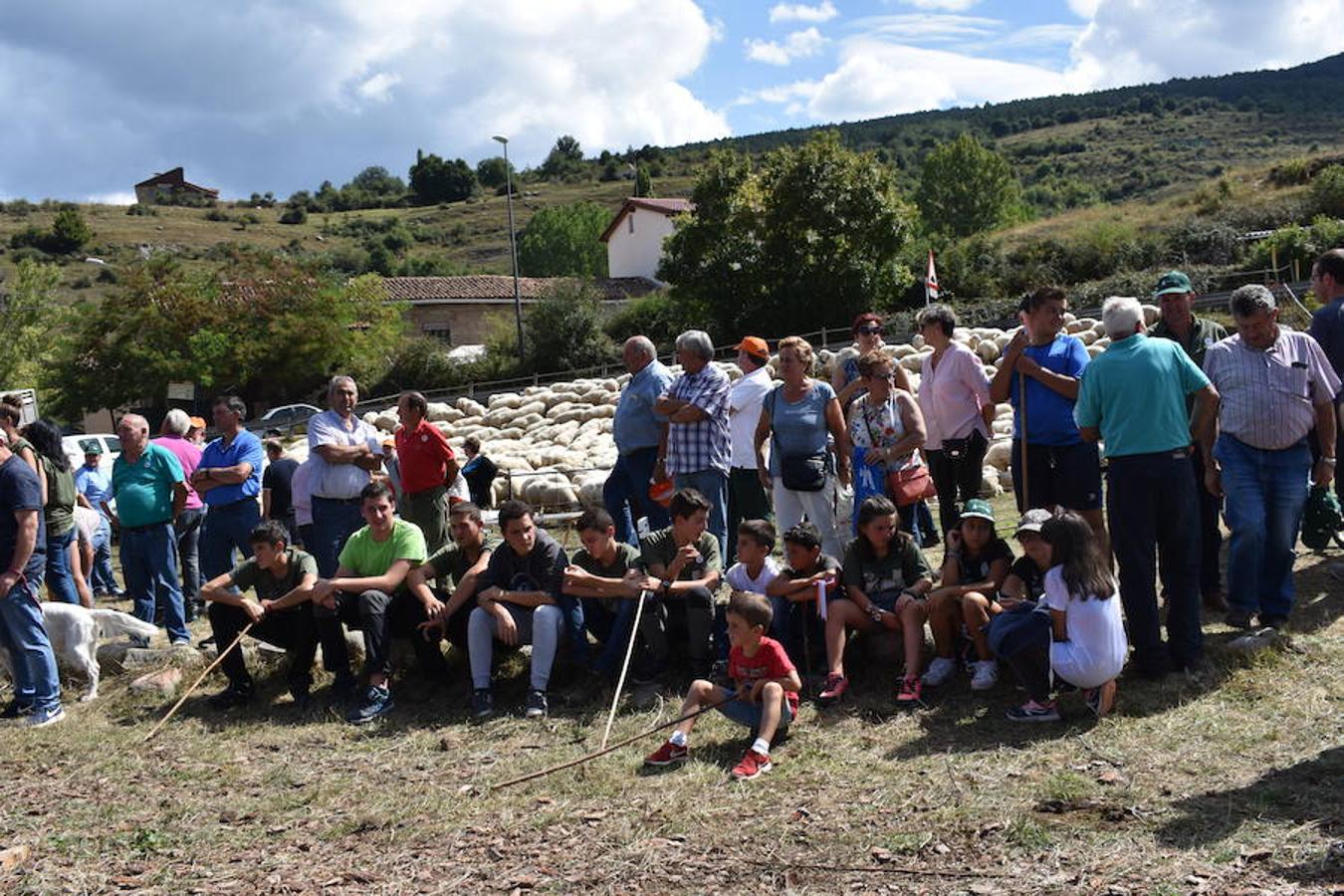 Gobierno de La Rioja y Ayuntamiento de Villoslada de Cameros, en colaboración con la Fundación Caja Rioja y Bankia, han puesto en marcha una nueva edición de la Feria Regional de Ganado que desde hace veintidós años, cada 11 de septiembre se desarrolla en la localidad serrana.