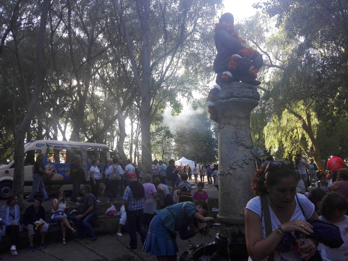 Cientos de jarreros culminan las fiestas de la vega con un recital de jolgorio
