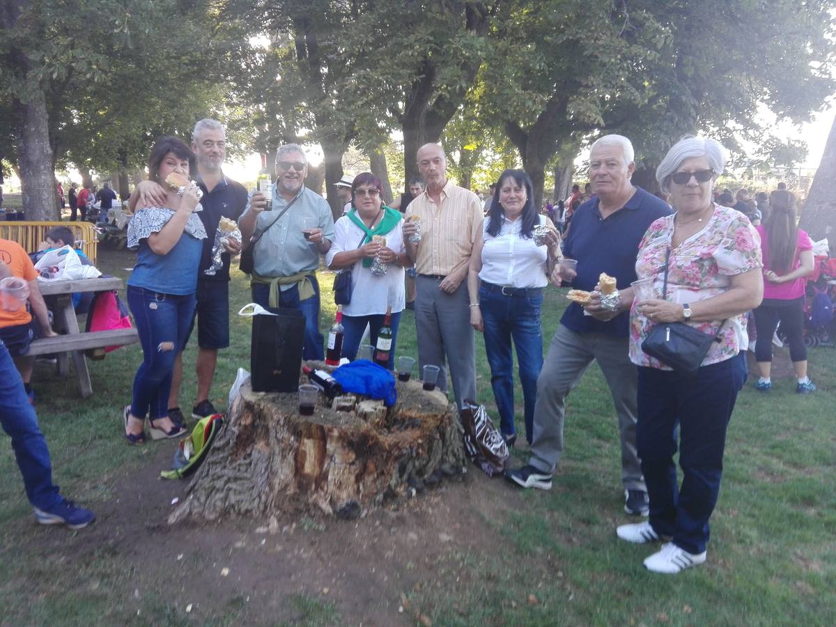 Cientos de jarreros culminan las fiestas de la vega con un recital de jolgorio