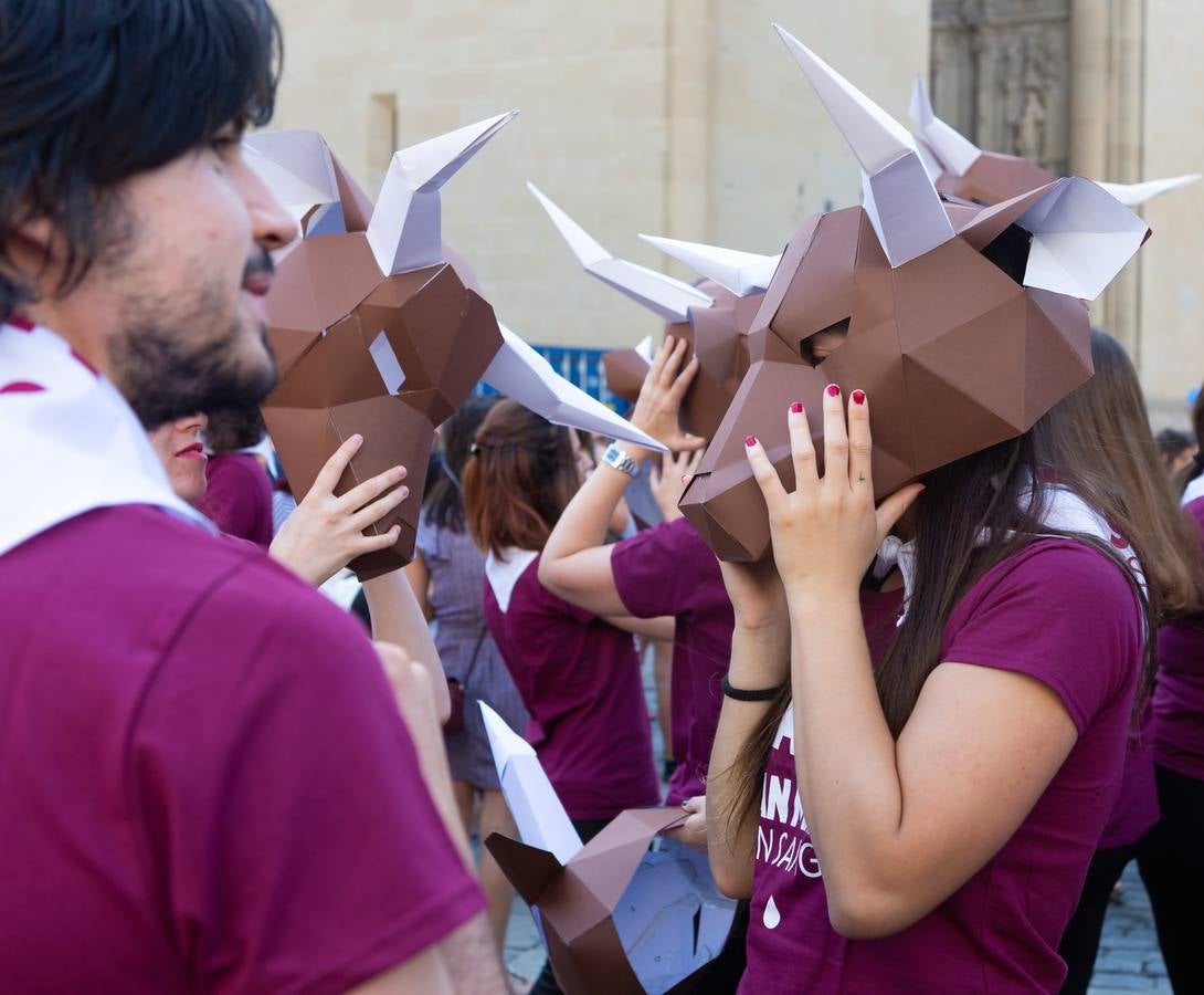 Protesta antitaurina en la Plaza del Mercado.