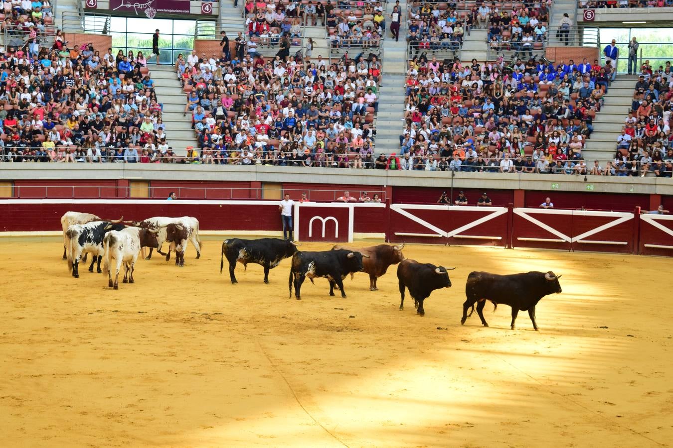 Miles de personas se dieron cita en la plaza de toros de Logroño.