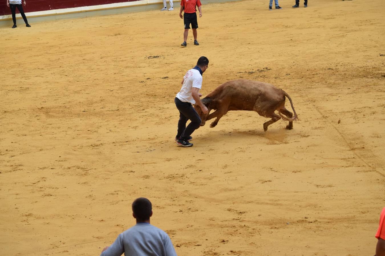 Miles de personas se dieron cita en la plaza de toros de Logroño.