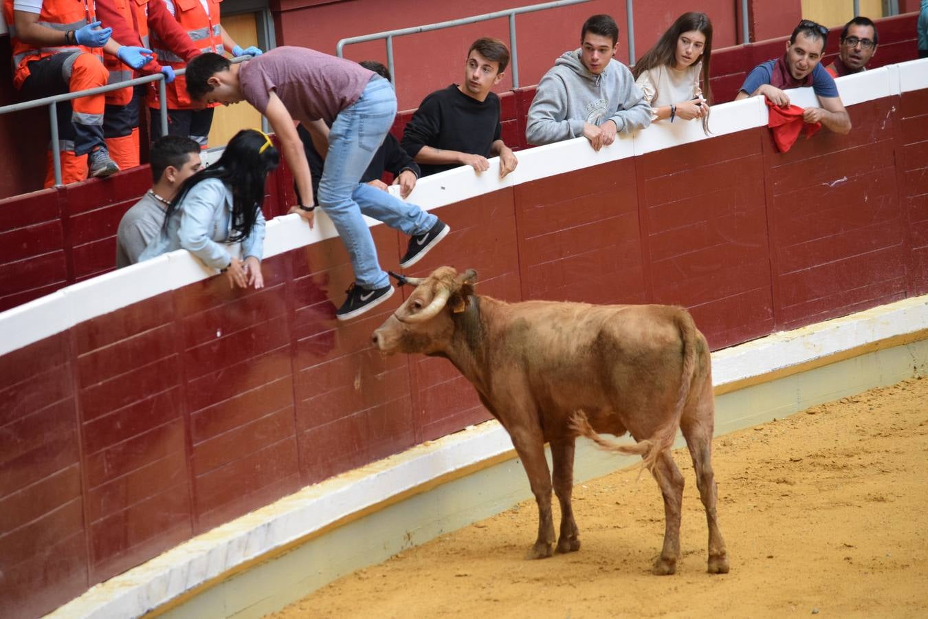 Miles de personas se dieron cita en la plaza de toros de Logroño.