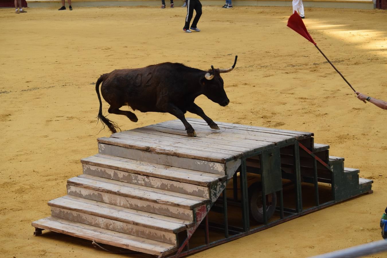 Miles de personas se dieron cita en la plaza de toros de Logroño.