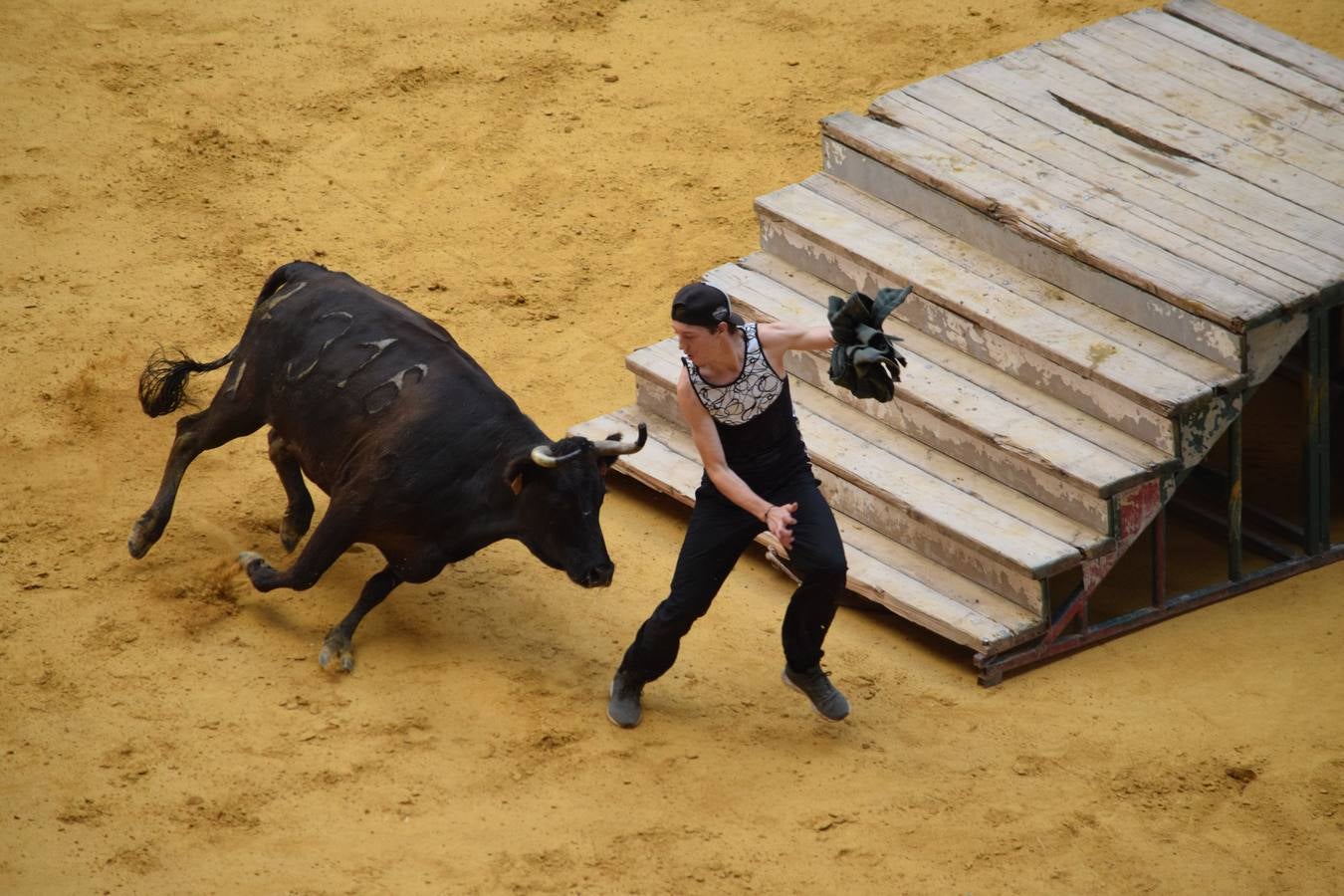 Miles de personas se dieron cita en la plaza de toros de Logroño.