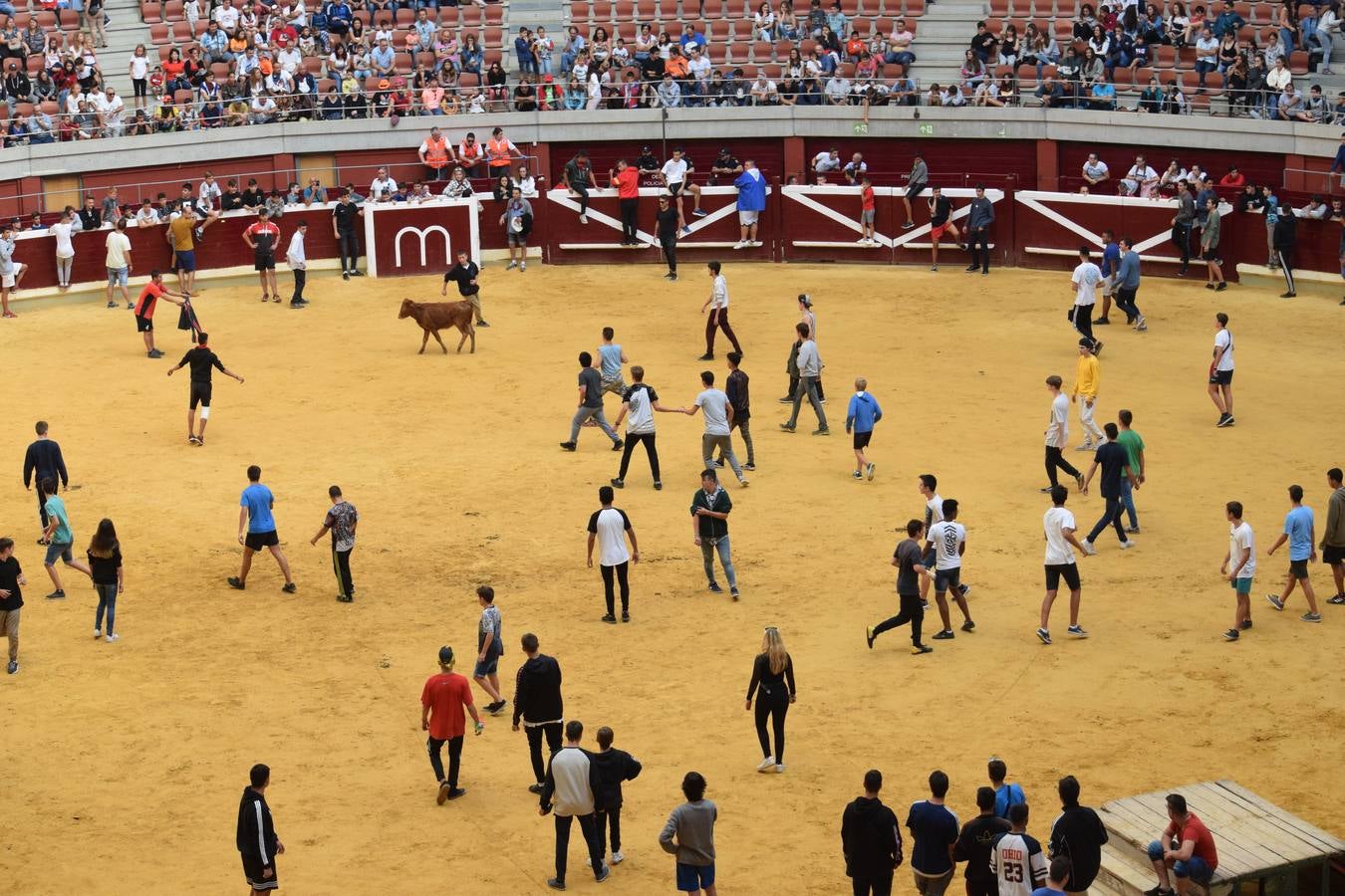 Miles de personas se dieron cita en la plaza de toros de Logroño.