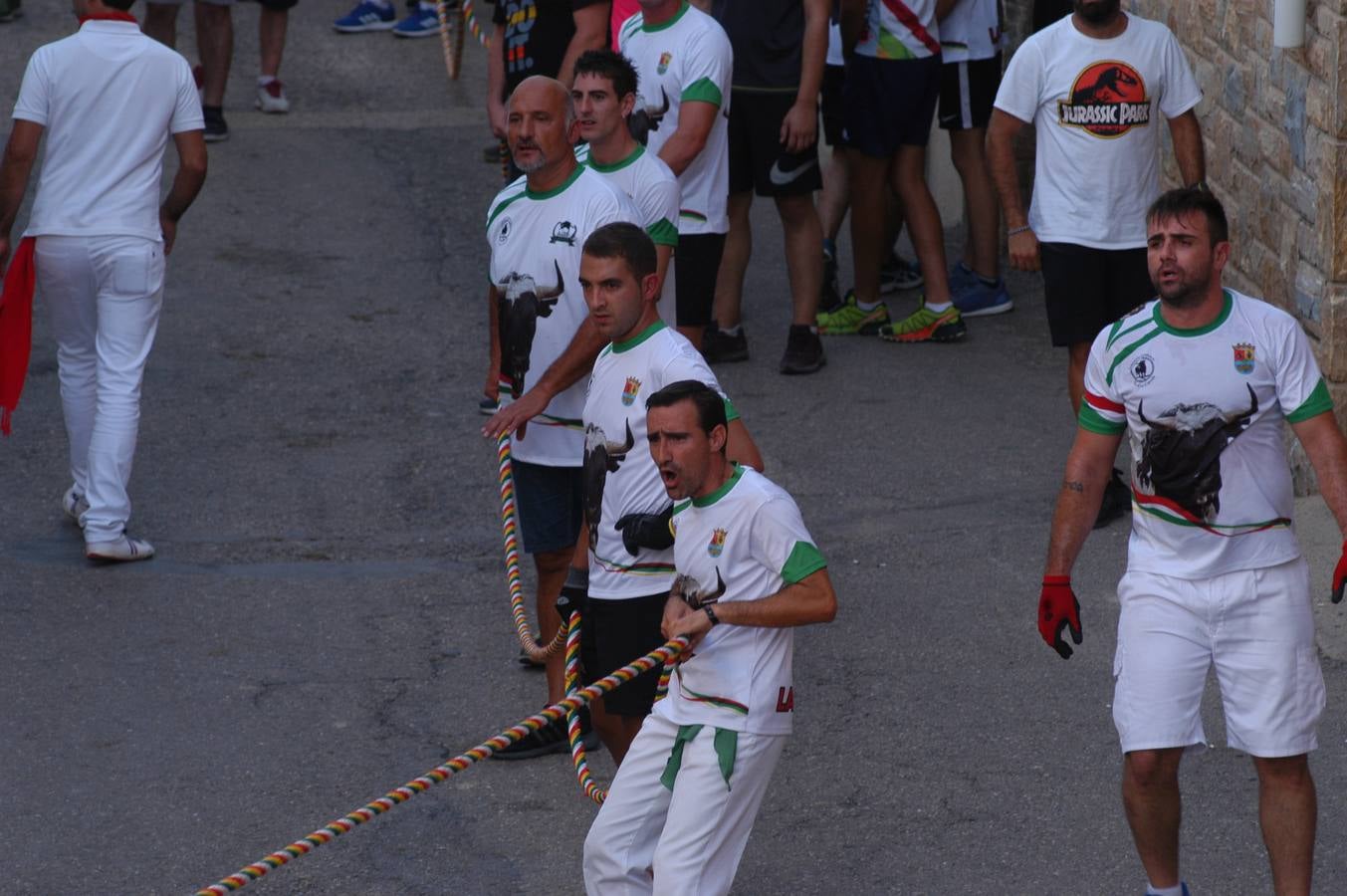 Fotos: Toros ensogados en Cabretón