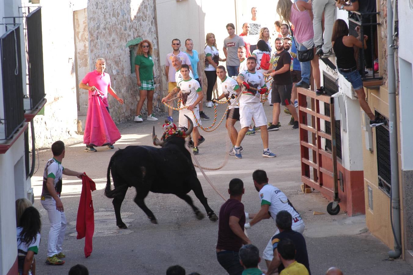 Fotos: Toros ensogados en Cabretón