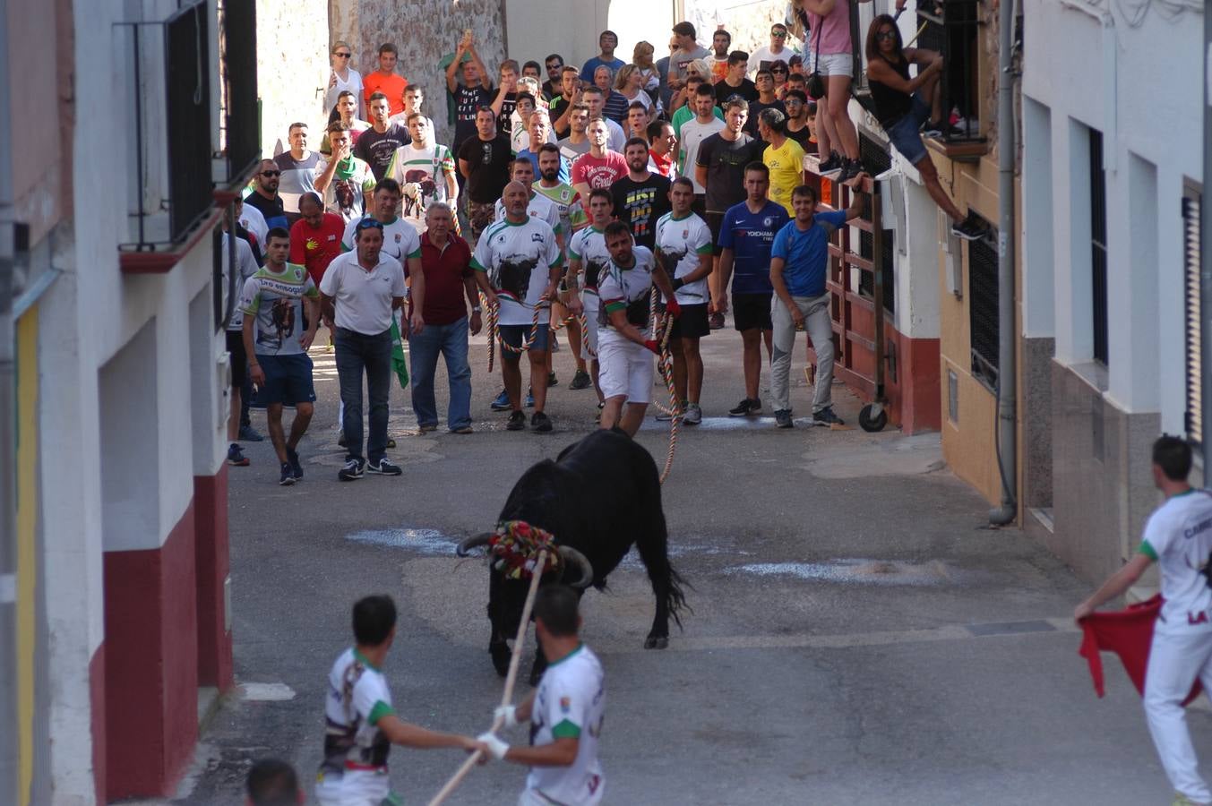 Fotos: Toros ensogados en Cabretón