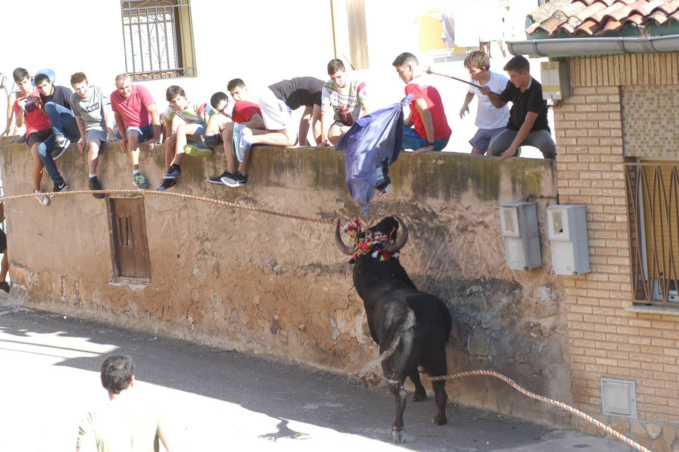 Fotos: Toros ensogados en Cabretón