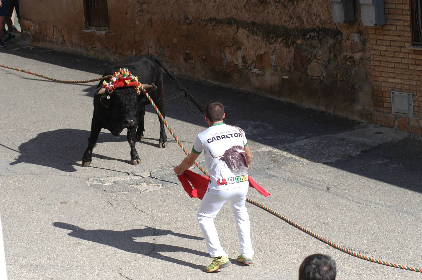 Fotos: Toros ensogados en Cabretón