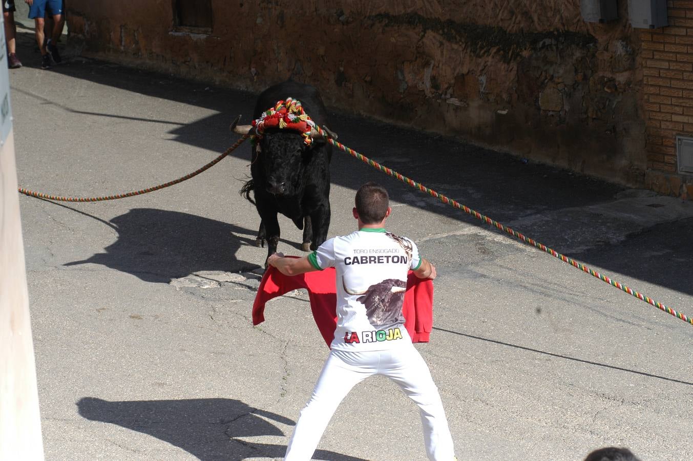 Fotos: Toros ensogados en Cabretón