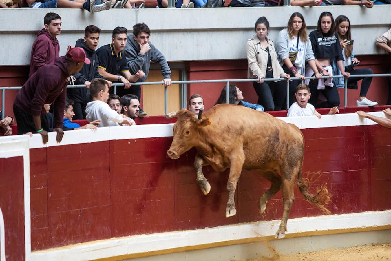 Divertido grand prix con vaquillas en La Ribera. Diversión para incondicionales desde primera hora del día.