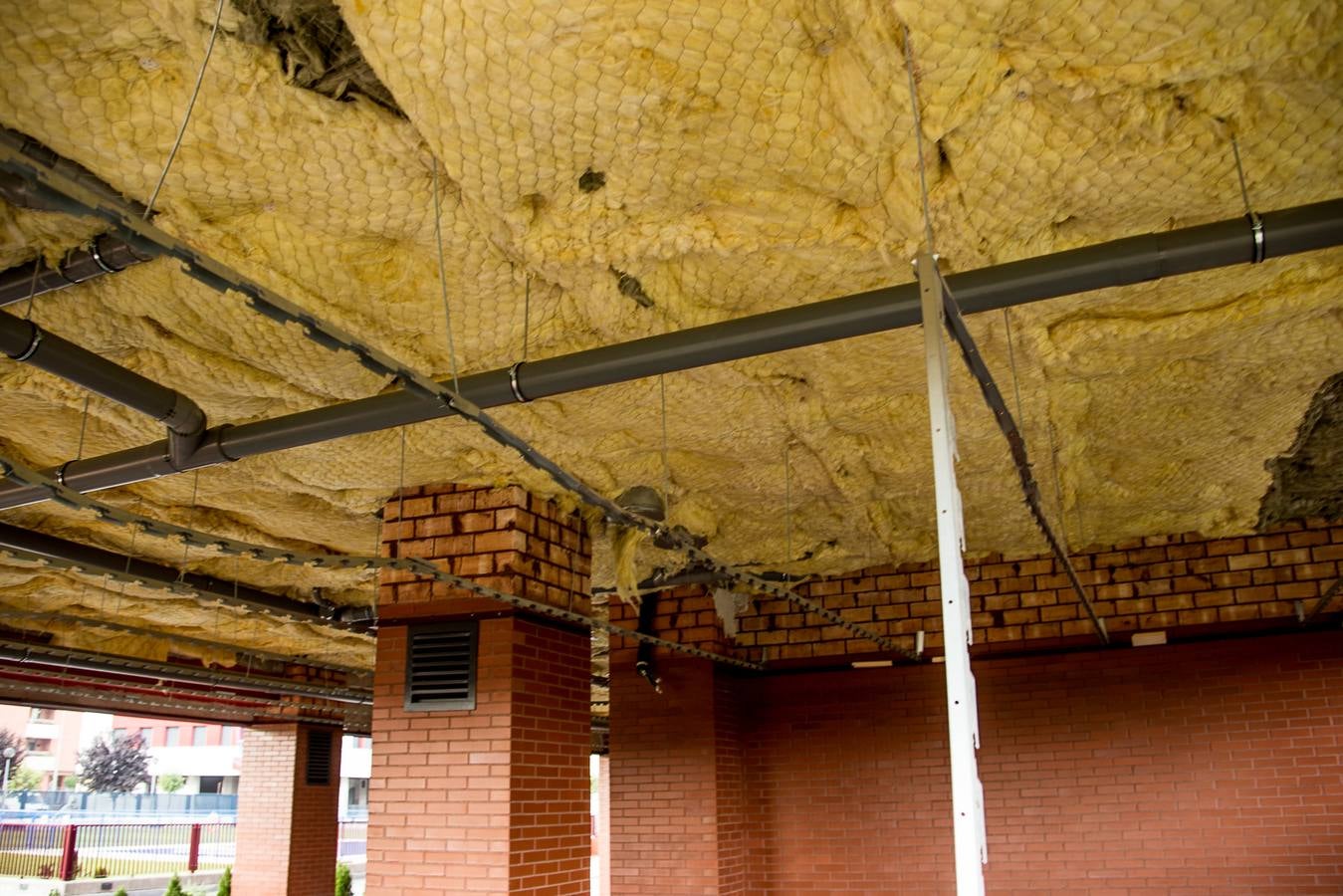 Fotos: Barro, ramas rotas y árboles caídos, las consecuencias de la tormenta