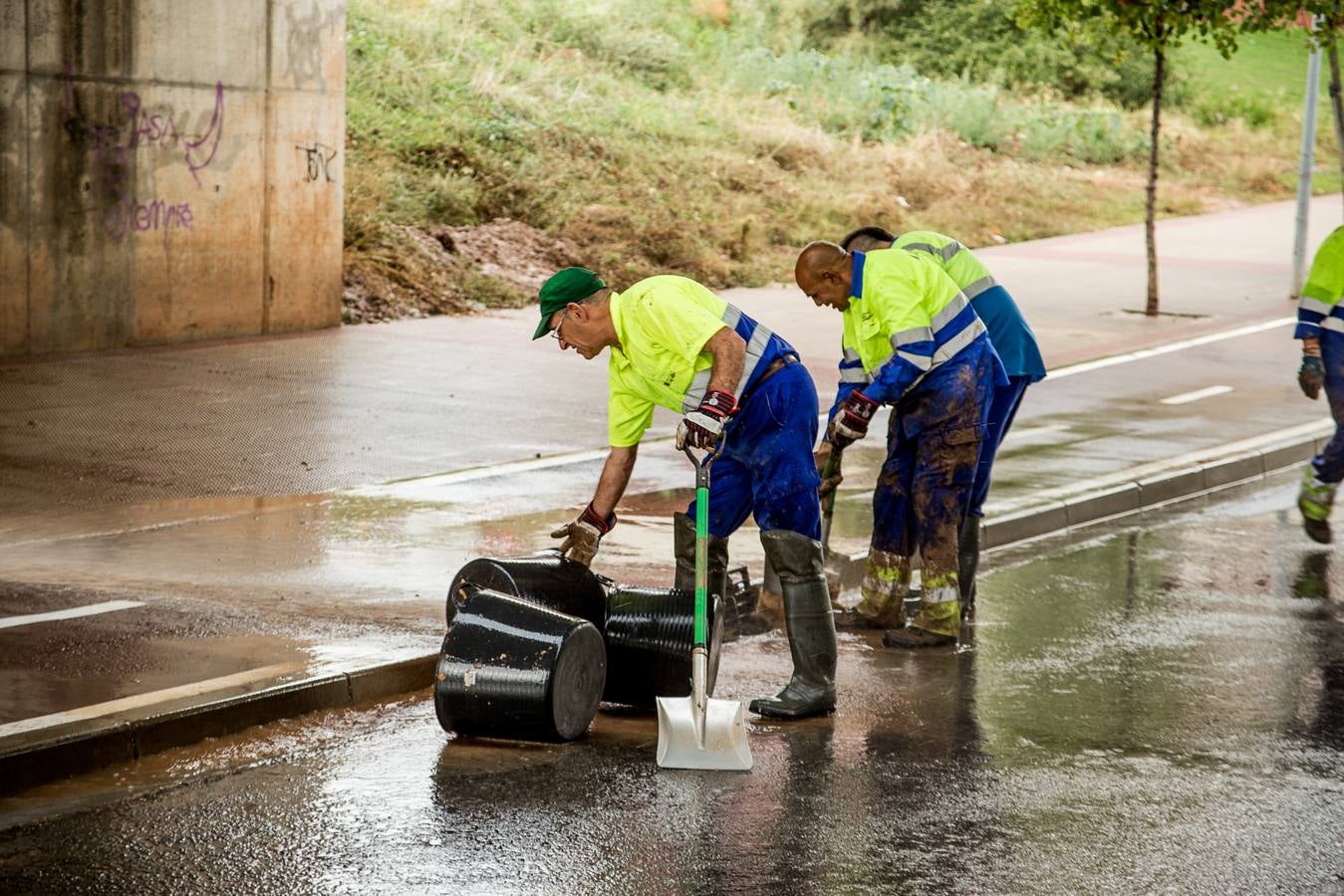 Fotos: Barro, ramas rotas y árboles caídos, las consecuencias de la tormenta