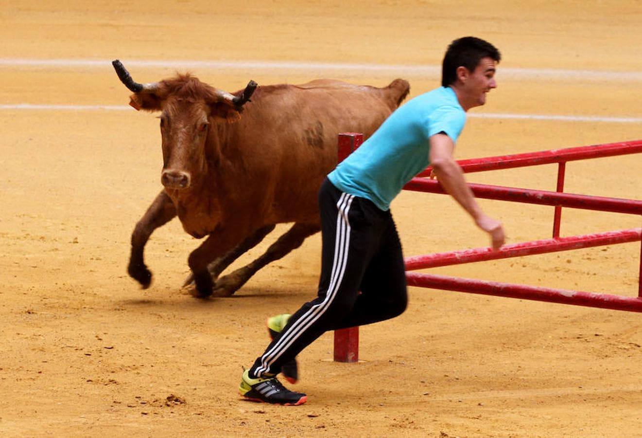 La invitación no dejaba margen para la duda: «Exhibición de bravura con obstáculos con algunas de las vacas y toros más femosos de España», con reses de la ganadrería de José Arriazu de Ablitas.