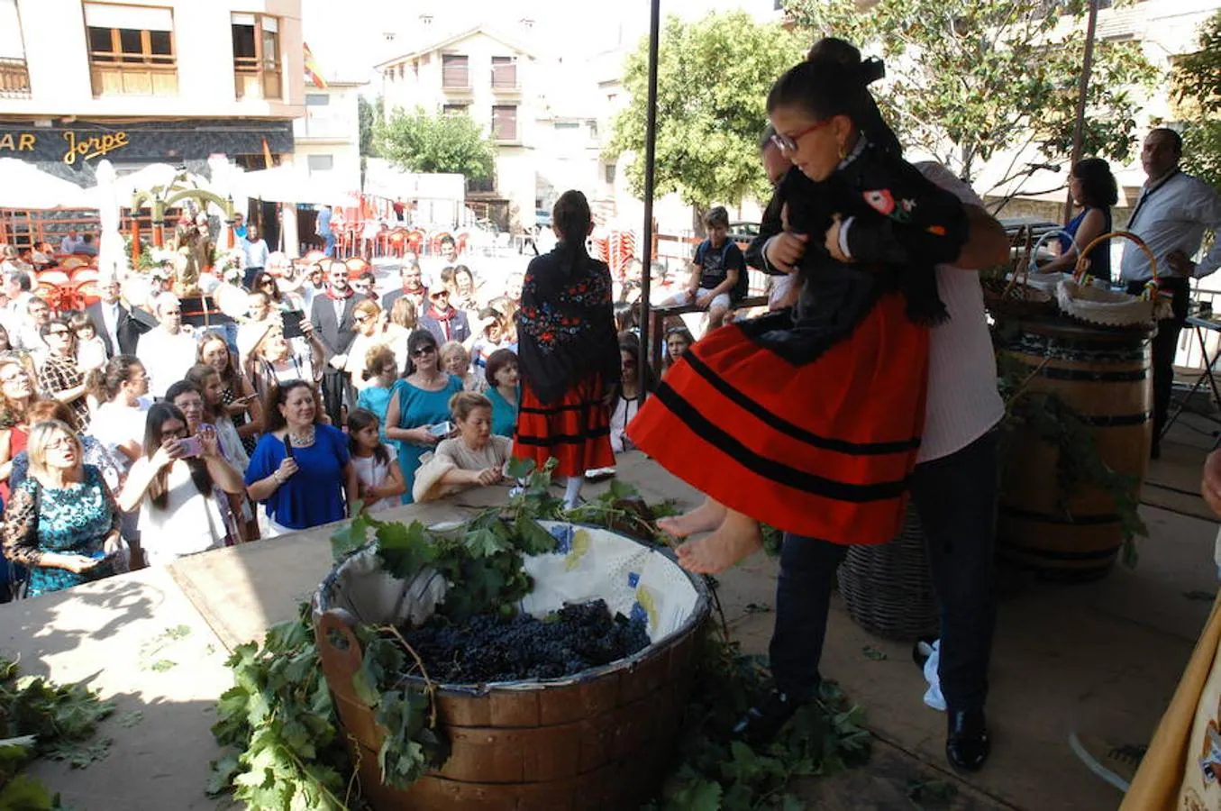 Imágenes del día grande de las fiestas de Rincón de Olivedo. con motivo de sus fiestas de Acción de Gracias y Virgen de la Antigua con procesión, pisado de uva, ofrenda del mosto y misa.